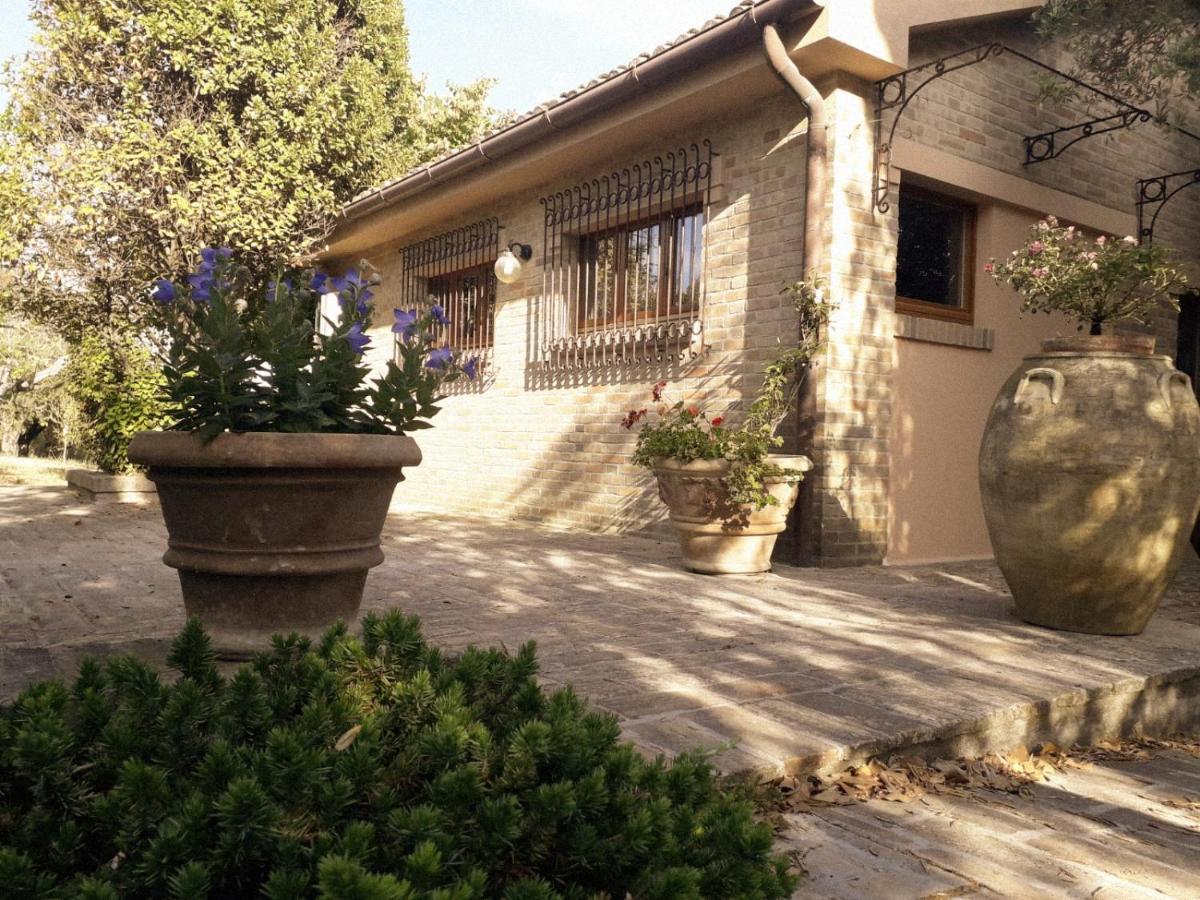 Ferienwohnung Casa Sabbatini SantʼElpidio a Mare Exterior foto