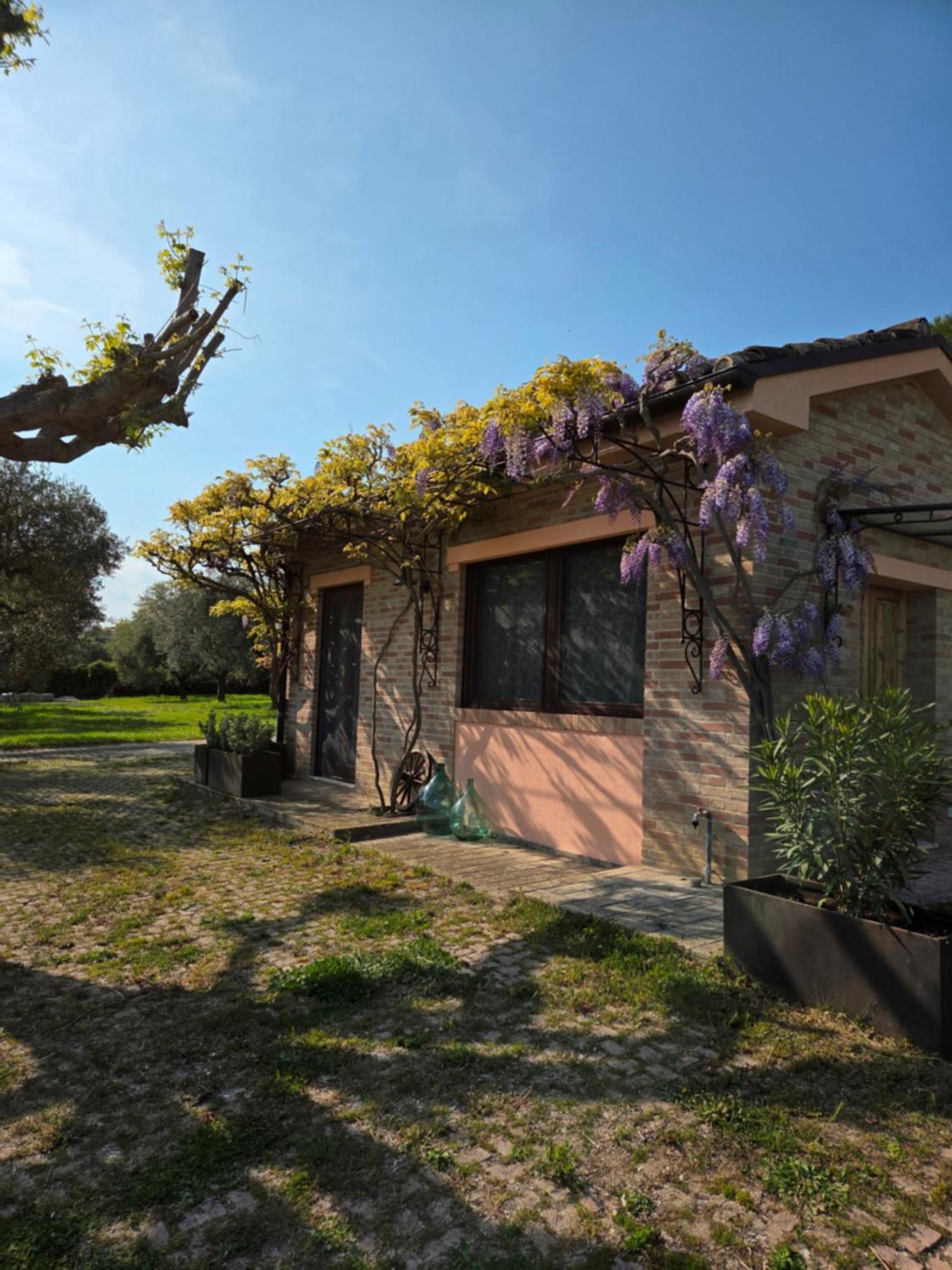 Ferienwohnung Casa Sabbatini SantʼElpidio a Mare Exterior foto